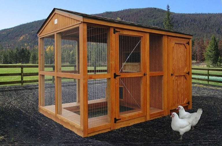 Chicken coop by Burnett Affordable Buildings