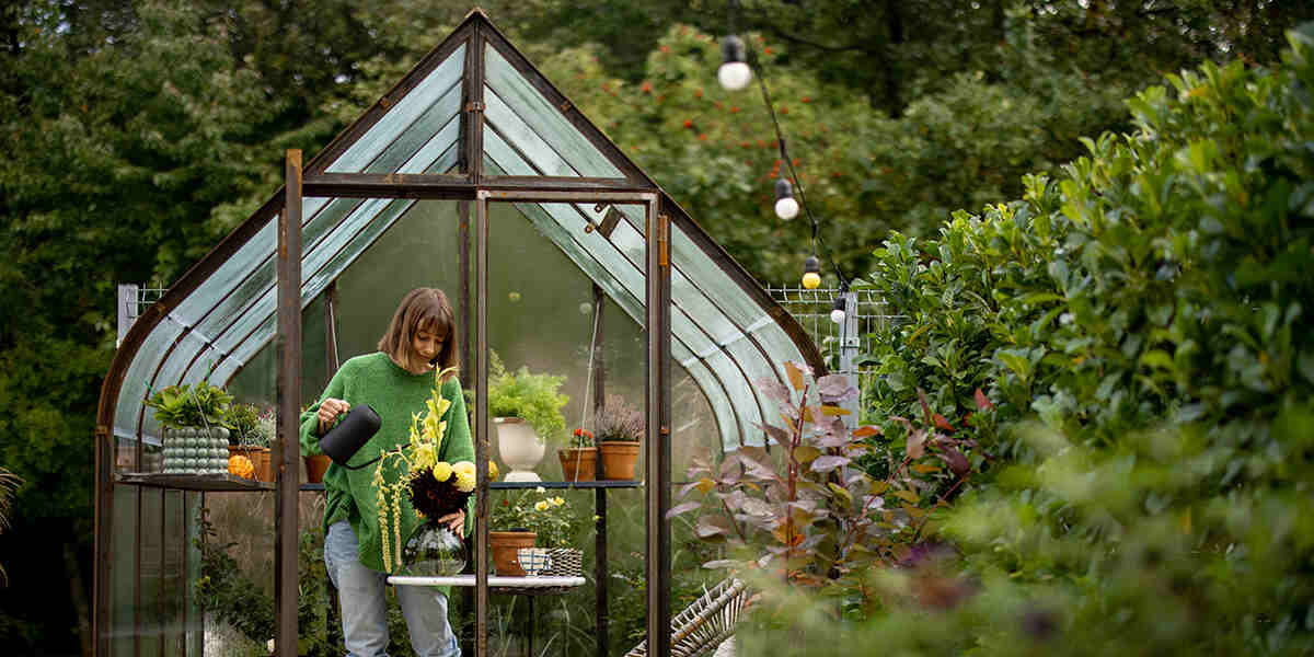 what does a greenhouse do for plants