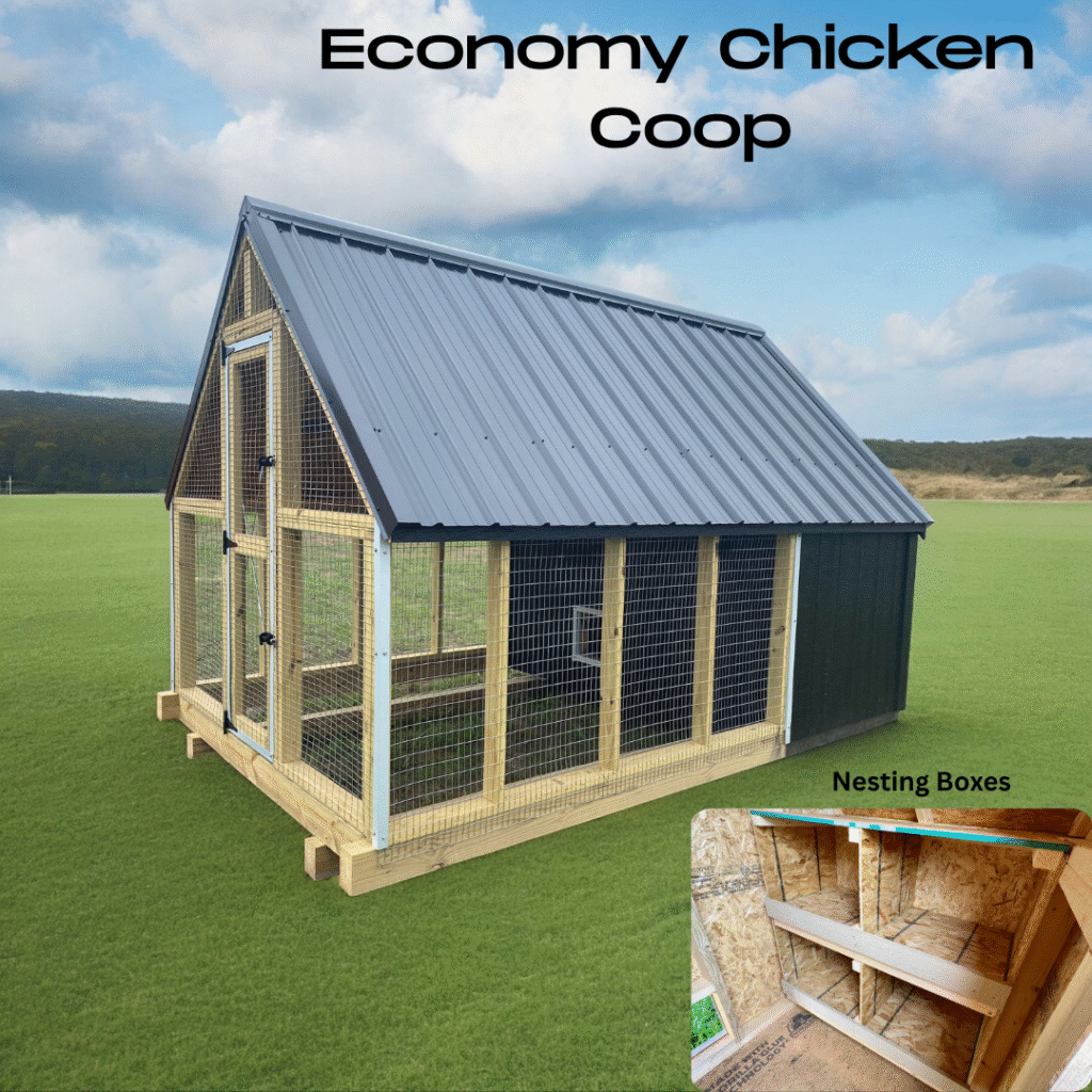 Economy Chicken Coop 8x12