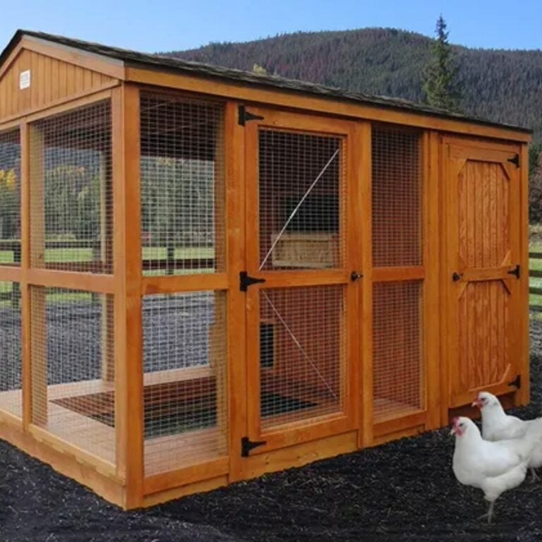 Burnett 8x16 chicken coop with nesting boxes and a run door