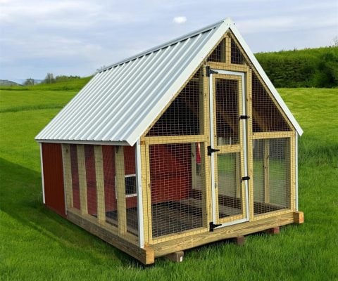 Economy Chicken Coop 8x16
