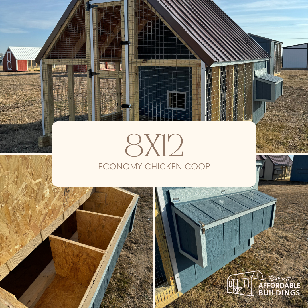 8x12 ecc | Burnett Affordable Buildings