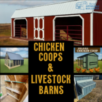 🐔❄️ Keep Your Animals Safe This Winter: Why Now Is the Time to Upgrade Your Coop or Livestock Barn